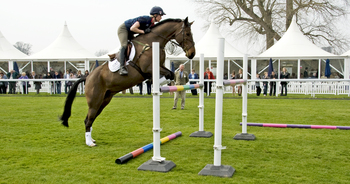 Newbury Racecourse Equestrian Day 2012